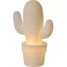 cactus lamp 