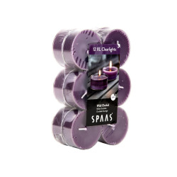 Spaas 12 Bougies Chauffe-Plat Xl Clearlights Parfumées Orchidéesauvage