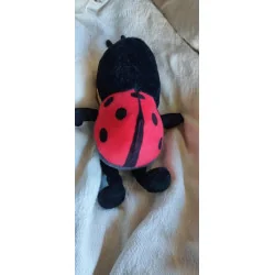 Nounours coccinelle